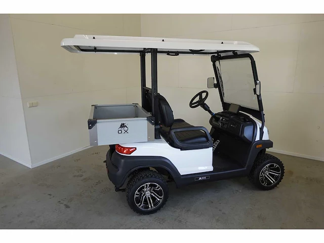 2025 ox zg2l golfkar - afbeelding 3 van  5