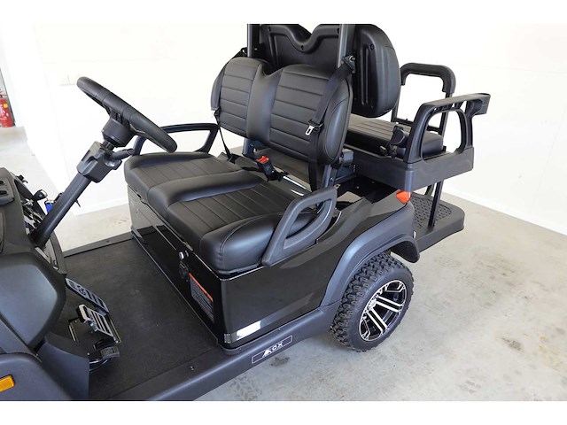 2025 ox zg4 4-zits golfkar optioneel met kenteken - afbeelding 5 van  12