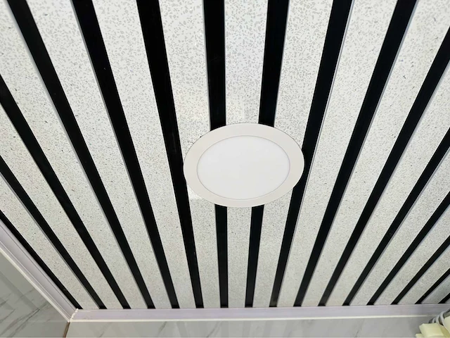 2025 stahlworks deluxe sanitairunit / douche unit - afbeelding 11 van  33