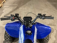 2025 ultra motocross miniraptor125 atx 125 raptor bl quad - afbeelding 3 van  13