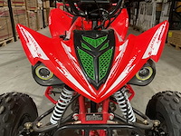 2025 ultra motocross miniraptor125 atx 125 raptor rd quad - afbeelding 13 van  13