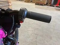 2025 ultra motocross trx250 rz elektrische loopfiets - afbeelding 2 van  10