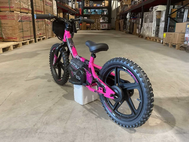 2025 ultra motocross trx250 rz elektrische loopfiets - afbeelding 9 van  10