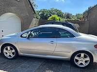 204 peugeot 307 cc 74-xr-pl - afbeelding 3 van  18