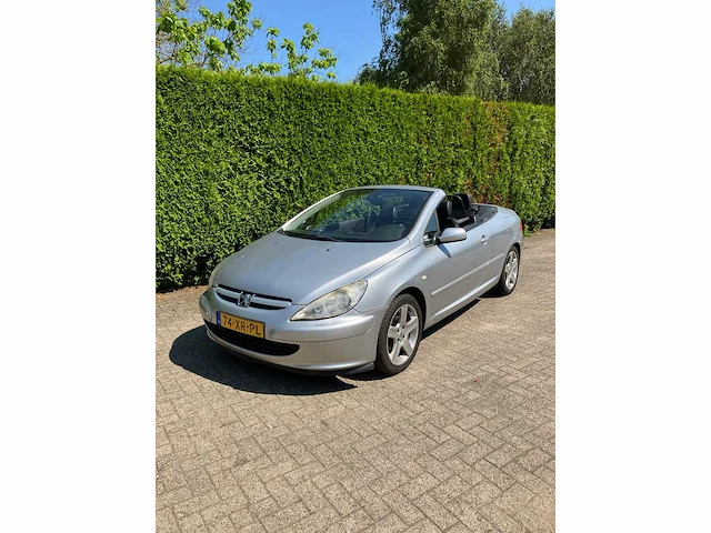 204 peugeot 307 cc 74-xr-pl - afbeelding 12 van  18