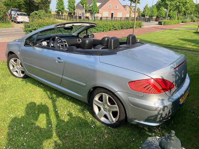 204 peugeot 307 cc 74-xr-pl - afbeelding 16 van  18