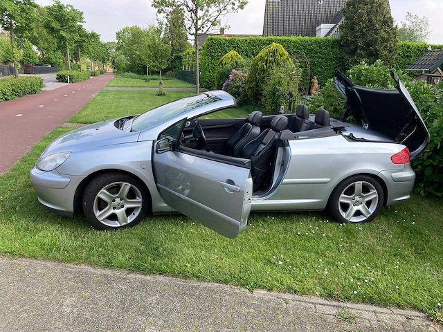 204 peugeot 307 cc 74-xr-pl - afbeelding 17 van  18