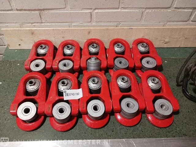 20x kantel/wartelbaar hijsoog dsr - afbeelding 1 van  4