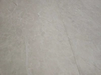 21 m2 pvc spc click xl tegel - 950 x 470 x 5 mm - afbeelding 1 van  3