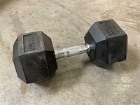 22.5kg - hexagon dumbbell - afbeelding 1 van  1