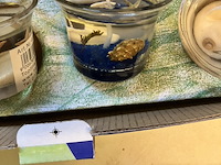 25 x 12 gelkaars in mooie showdoos dus 300 stuks - afbeelding 2 van  11