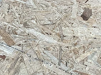(250x) osb 2440x1220x14mm - afbeelding 2 van  6