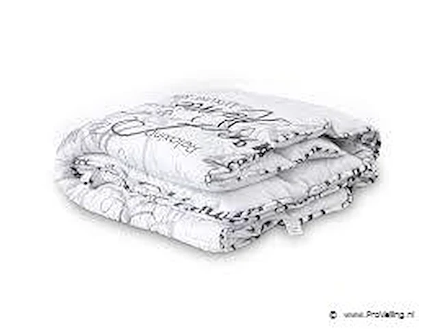 2in1 dekbed 240x200cm - afbeelding 1 van  4
