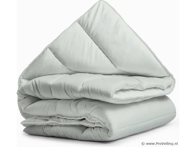 2in1 dekbed 240x200cm+hoofdkussens all season - afbeelding 1 van  7