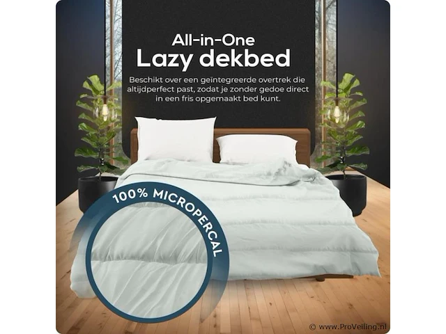 2in1 dekbed 240x200cm+hoofdkussens all season - afbeelding 2 van  7