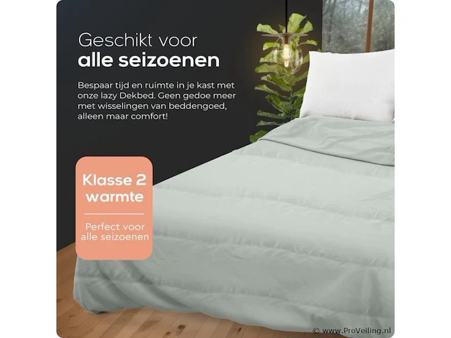 2in1 dekbed 240x200cm+hoofdkussens all season - afbeelding 3 van  7
