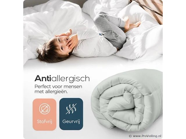 2in1 dekbed 240x200cm+hoofdkussens all season - afbeelding 7 van  7