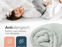 2in1 dekbed 240x200cm+hoofdkussens all season - afbeelding 7 van  7