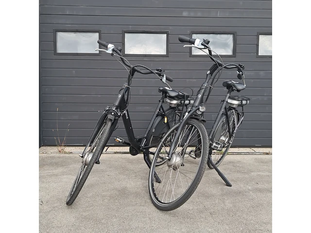 2x elektrische damesfiets, batavus, wayz e-go, 2020 - afbeelding 1 van  31