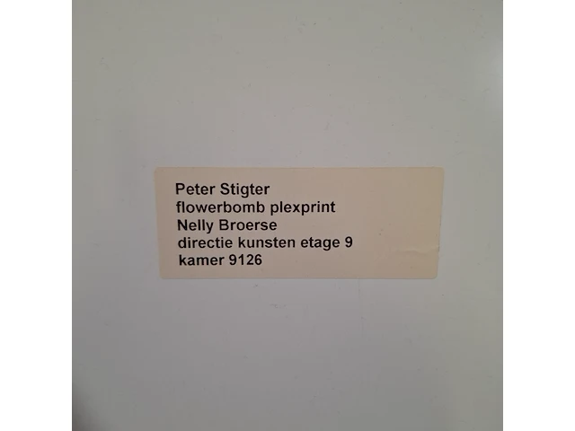 2x foto afbeelding, peter stigter / ada simonis - afbeelding 3 van  11