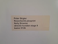 2x foto afbeelding, peter stigter / ada simonis - afbeelding 3 van  11