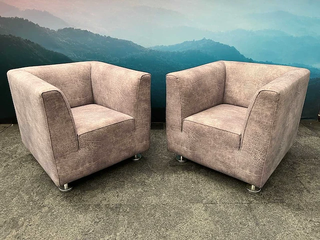 2x gelderland - design fauteuil - grijs - olifantenprint - afbeelding 1 van  13