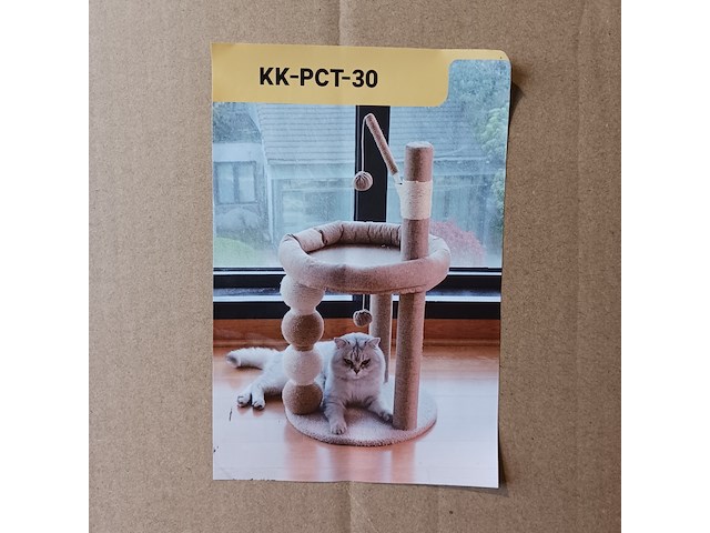 2x krabpaal kat kitten, 2025 - afbeelding 1 van  2