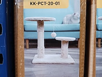 2x krabpaal kat kitten, 2025 - afbeelding 1 van  2