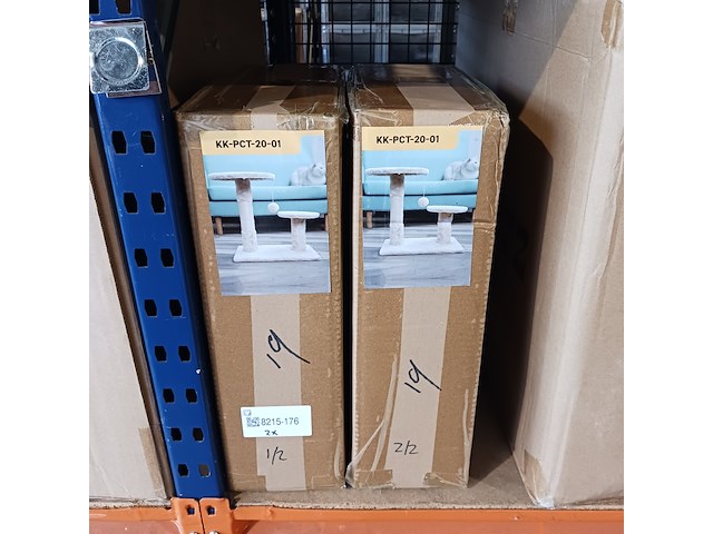 2x krabpaal kat kitten, 2025 - afbeelding 2 van  2