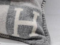 2x kussen hermes - afbeelding 8 van  10