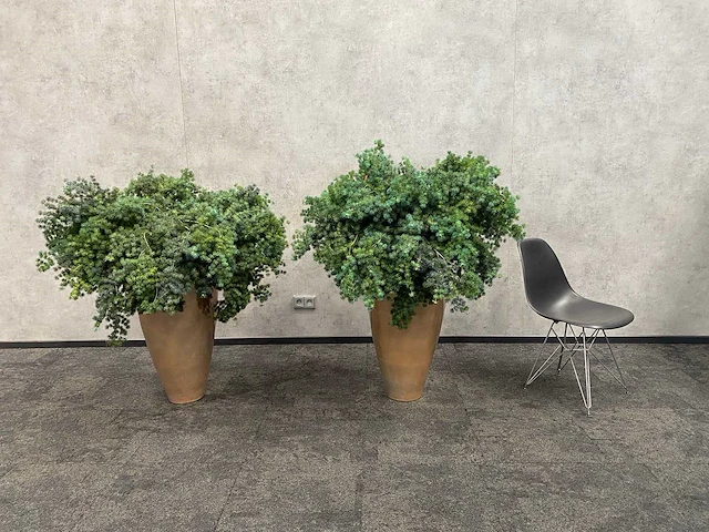 2x mobach - kunstplant met pot - afbeelding 1 van  10