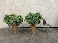2x mobach - kunstplant met pot - afbeelding 1 van  10