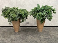 2x mobach - kunstplant met pot - afbeelding 3 van  10