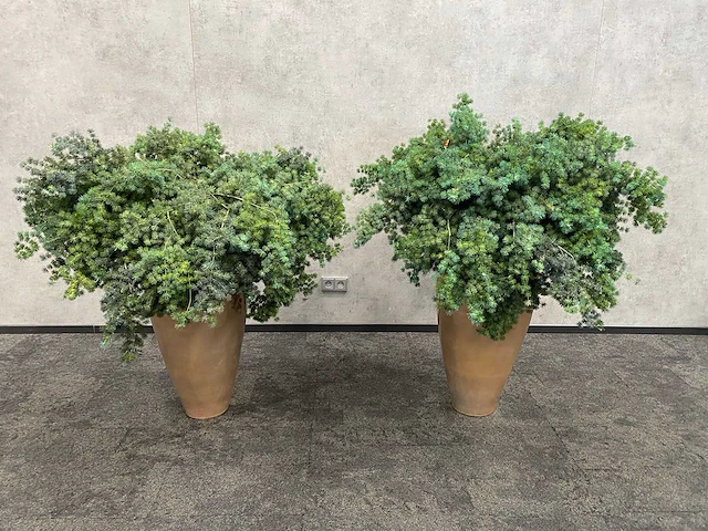 2x mobach - kunstplant met pot - afbeelding 9 van  10