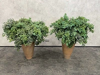 2x mobach - kunstplant met pot - afbeelding 9 van  10