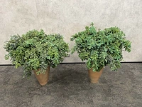 2x mobach - kunstplant met pot - afbeelding 10 van  10