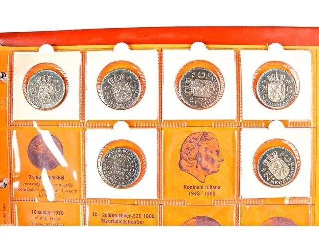 2x nederlandse muntencollecties - afbeelding 11 van  38