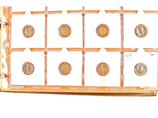 2x nederlandse muntencollecties - afbeelding 14 van  38