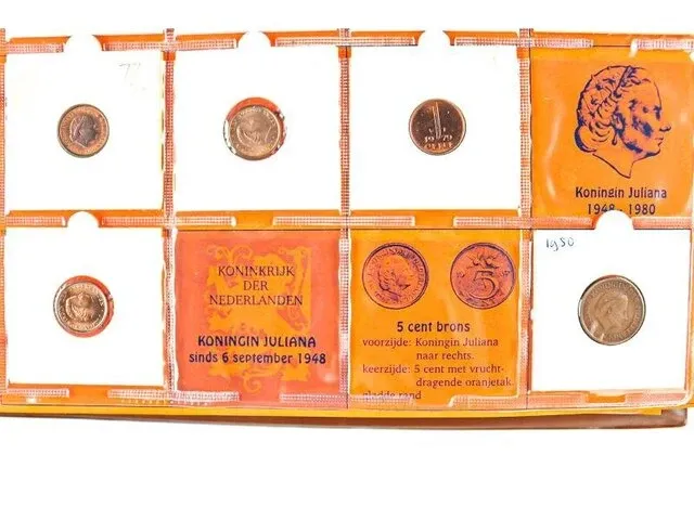 2x nederlandse muntencollecties - afbeelding 16 van  38