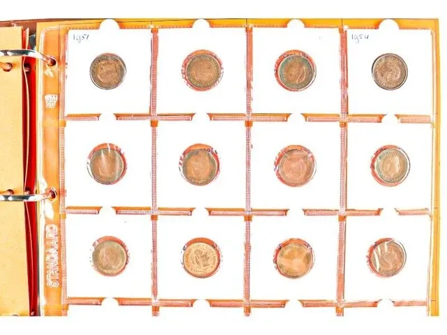 2x nederlandse muntencollecties - afbeelding 17 van  38