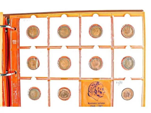 2x nederlandse muntencollecties - afbeelding 19 van  38