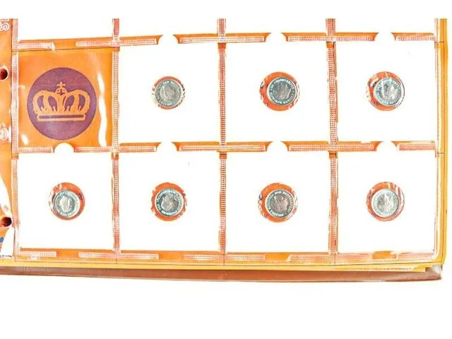 2x nederlandse muntencollecties - afbeelding 22 van  38
