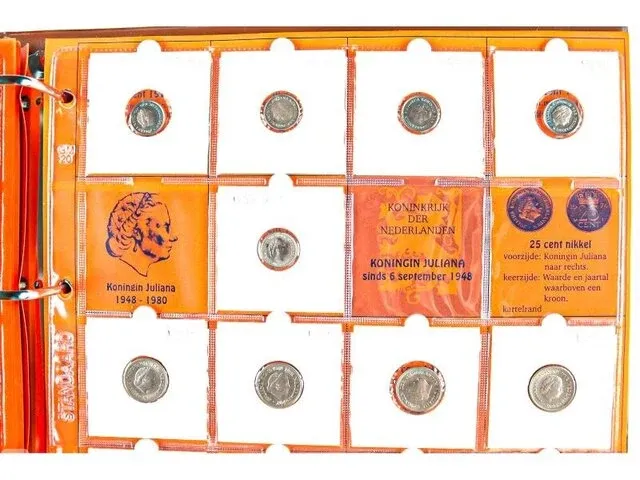 2x nederlandse muntencollecties - afbeelding 24 van  38