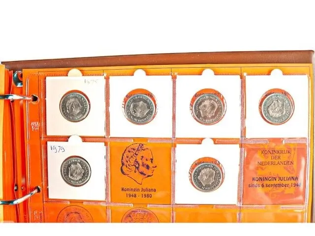 2x nederlandse muntencollecties - afbeelding 29 van  38