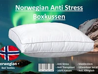 2x norwegian anti-stress boxkussen