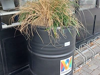 2x plant in ton - afbeelding 3 van  3