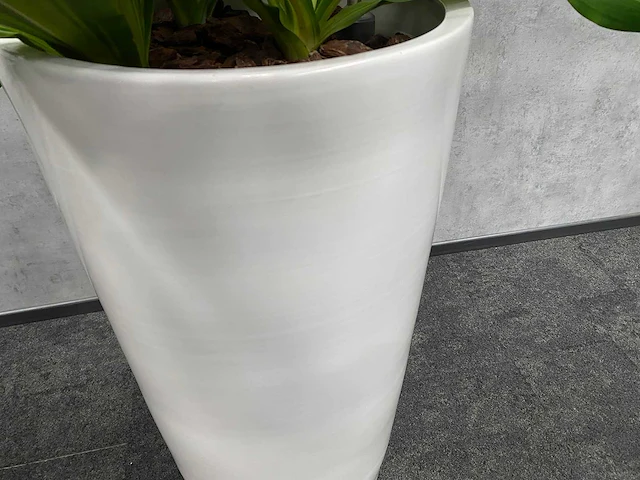 2x plant met pot - hydro cultuur - afbeelding 3 van  11