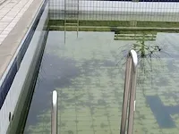 2x rvs zwembad trap - afbeelding 4 van  5