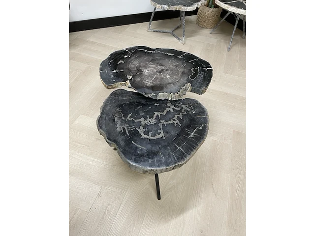 2x salontafel versteend hout, zwart, 2024 - afbeelding 1 van  6