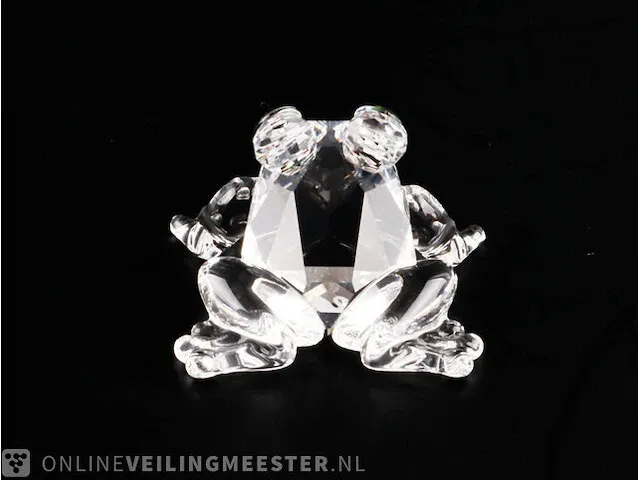 2x swarovski kristal swarovski kristal - afbeelding 7 van  8